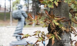 Sonbaharda Anadolu Üniversitesi
