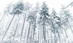 Anadolu Üniversitesi'nde Kış